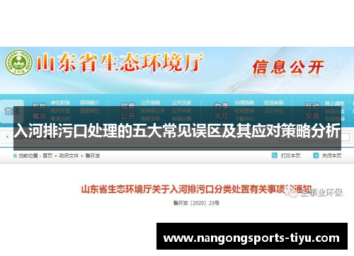 入河排污口处理的五大常见误区及其应对策略分析