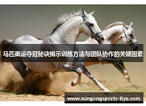 马匹奥运夺冠秘诀揭示训练方法与团队协作的关键因素
